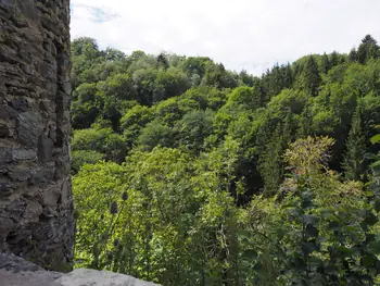 Chateau de Reinhardstein (België)